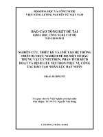 Nghiên cứu, thiết kế và chế tạo hệ thống thiết bị thực nghiệm để đo một số đặc trưng vật lý neutron, phân tích kích hoạt và định liều neutron phục vụ công tác đào tạo nhân lực hạt nhân
