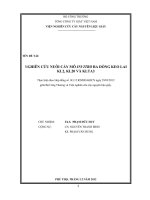 Nghiên cứu nuôi cấy mô invitro ba dòng keo lai KL2, LK20 và KLT A3  Viện Nghiên cứu cây nguyên liệu giấy