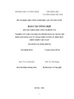 Nghiên cứu chế tạo một số lớp phủ bảo vệ, trang trí đóng rắn bằng tia tử ngoại trên cơ sở các hợp chất thiên nhiên Việt Nam