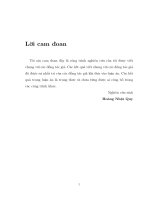 Toán tử Monge - Ampère trong Cn và trên đa tạp Kähler compact