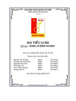 TIỂU LUẬN CƠ SỞ KINH TẾ NĂNG LƯỢNG Báo cáo Năng lượng Hidro