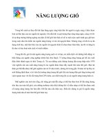 TIỂU LUẬN CƠ SỞ KINH TẾ NĂNG LƯỢNG NĂNG LƯỢNG GIÓ