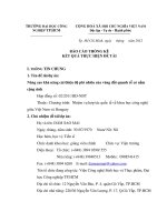 Nâng cao khả năng cải thiện độ phì nhiêu của đất quanh vùng rễ có nấm cộng sinh