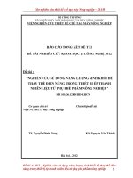 Nghiên cứu sử dụng năng lượng sinh khối để thay thế điện năng trong thiết bị ép thanh nhiên liệu từ phụ phế phẩm nông nghiệp