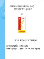 Báo cáo TIỂU LUẬN CƠ SỞ KINH TẾ NĂNG LƯỢNG BIOGAS VÀ CÁC ỨNG DỤNG