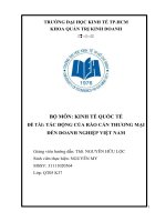 TÁC ĐỘNG CỦA RÀO CẢN THƯƠNG MẠI ĐẾN DOANH NGHIỆP VIỆT NAM