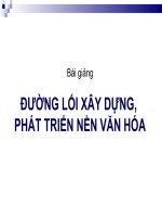 bài giảng đường lối xây dựng, phát triển nền văn hóa