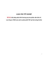 Giải pháp phát triển thương mại sản phẩm nấm linh chi của Công ty TNHH sản xuất và phân phối THP tại thị trường Hà Nội