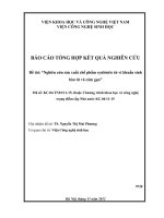Nghiên cứu sản xuất chế phẩm synbiotic từ vi khuẩn sinh bào tử và cám gạo