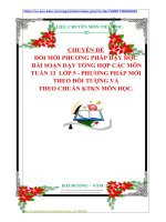 CHUYÊN ĐỀ ĐỔI MỚI PHƯƠNG PHÁP DẠY HỌC  BÀI SOẠN DẠY TỔNG HỢP CÁC MÔN  TUẦN 13  LỚP 5  PHƯƠNG PHÁP MỚI  THEO ĐỐI TƯỢNG VÀ  THEO CHUẨN KTKN MÔN HỌC.
