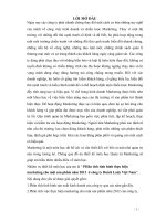 PHân tích tình hình thực hiện marketing cho một sản phẩm năm 2012  ở công ty dutch lady việt nam