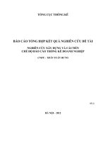 Nghiên cứu xây dựng và cải tiến chế độ báo cáo thống kê doanh nghiệp