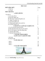 sáng kiến kinh nghiệm đề tài tổ chức hoạt động nhóm môn toán bậc trung học cơ sở