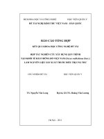 Hợp tác nghiên cứu xây dựng quy trình tạo khối tế bào Thông đỏ Việt Nam làm nguyên liệu sản xuất thuốc điều trị ung thư