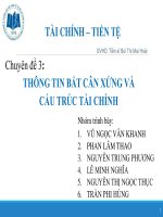 TIỂU LUẬN LÝ THUYẾT TÀI CHÍNH TIỀN TỆ THÔNG TIN BẤT CÂN XỨNG VÀ CẤU TRÚC TÀI CHÍNH