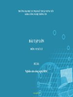 Nghiên cứu công nghệ RISC