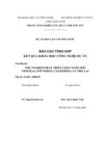 Thử nghiệm phát triển chăn nuôi thỏ Newzealand White, California và thỏ lai