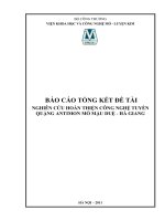 Nghiên cứu hoàn thiện công nghệ tuyển quặng antimon mỏ Mậu Duệ, Hà Giang