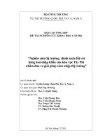 Nghiên cứu thị trường, chính sách đối với hàng hoá nhập khẩu của khu vực Tây Phi nhằm đưa ra giải pháp thâm nhập thị trường