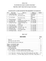 Báo cáo tự đánh giá chất lượng giáo dục THPT Trần Hưng Đạo  Hưng Yên năm 2014