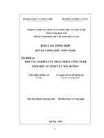 Hợp tác nghiên cứu phát triển công nghệ sinh học về lĩnh vực mía đường