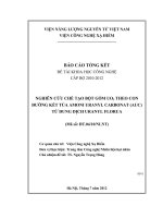 Nghiên cứu chế tạo bột gốm UO2 theo con đường kết tủa amoni uranyl carbonat (AUC) từ dung dịch uranyl florua