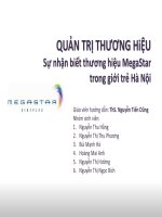 Sự nhận biết thương hiệu MegaStar trong giới trẻ Hà Nội