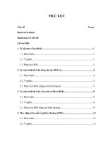 Tỷ số sinh lợi của vốn trong phân tích tài chính doanh nghiệp