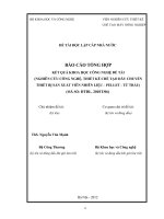 Nghiên cứu công nghệ, thiết kế chế tạo dây chuyền thiết bị sản xuất viên nhiên liệu (Pellet) từ trấu