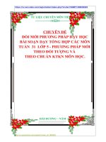 CHUYÊN ĐỀ ĐỔI MỚI PHƯƠNG PHÁP DẠY HỌC  BÀI SOẠN DẠY TỔNG HỢP CÁC MÔN  TUẦN  31  LỚP 5  PHƯƠNG PHÁP MỚI  THEO ĐỐI TƯỢNG VÀ  THEO CHUẨN KTKN MÔN HỌC.