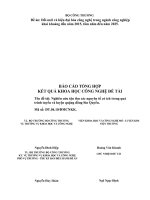 Nghiên cứu tận thu các nguyên tố có ích trong quá trình tuyển và luyện quặng đồng Sin Quyền