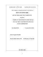 Nghiên cứu kích thích plasmon bề mặt của cấu trúc nano photonic kim loại