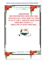 CHUYÊN ĐỀ ĐỔI MỚI PHƯƠNG PHÁP DẠY HỌC  BÀI SOẠN DẠY TỔNG HỢP CÁC MÔN  TUẦN 25  LỚP 5  PHƯƠNG PHÁP MỚI  THEO ĐỐI TƯỢNG VÀ  THEO CHUẨN KTKN MÔN HỌC.