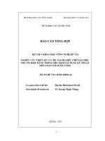 Nghiên cứu thiết kế và chế tạo bộ điều chế giải điều chế tín hiệu băng thông siêu rộng sử dụng kỹ thuật hỗn loạn (chaotic UWB)