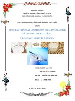 BƯỚC ĐẦU KHẢO SÁT LÊN MEN SỮA CHUA TỪ SOYA MILK VÀ COCONUT MILK