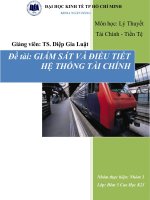 Tiểu luận Lý thuyết tài chính tiền tệ chủ đề GIÁM SÁT VÀ ĐIỀU TIẾT HỆ THỐNG TÀI CHÍNH