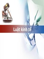 Bài giảng môn luật kinh tế Chương 1 Tổng quan về pháp luật kinh tế