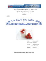 Khảo sát sự lên men của chủng B.bifidum trong sữa bò