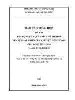 Tác động của quá trình đô thị hoá đến sự phát triển của khu vực nông thôn giai đoạn 2011-2020