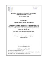 Nghiên cứu phục hồi và phát triển nguồn lợi trai tai tượng (họ Tridacnidae) ở biển Việt Nam