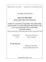 Nghiên cứu ảnh hưởng của hệ thống công trình chống ngập úng khu vực TP. Hồ ChU Minh đOn môi trường và đề xuất các giải pháp phát huy và giảm thiểu