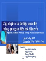 Cập nhật cơ sở dữ liệu quan hệ thông qua giao diện thể hiện yếu