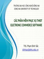 Các phần mềm phục vụ thương mại điện tử Electronic Commerce Software