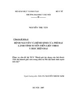 Bệnh nguyên và bệnh sinh của phì đại lành tính tuyến tiền liệt theo y học hiện đại