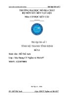 Bài tập lớn cơ kết cấu 1