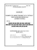 Nghiên cứu hình ảnh học của u tế bào thần kinh đệm hình sao