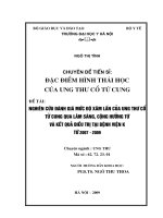 Đặc điểm hình thái học của ung thư cổ tử cung