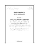 Thuốc chẹn kênh Calci – Nimodipin và những ứng dụng trên lâm sàng
