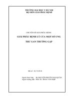 Giải phẫu bệnh lý của một số ung thư gan thường gặp