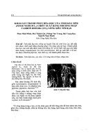 Khảo sát thành phần hóa học của tinh dầu tiêu (piper nigruml) chiết xuất bằng phương pháp carbon dioxide (c02) lỏng siêu tới hạn